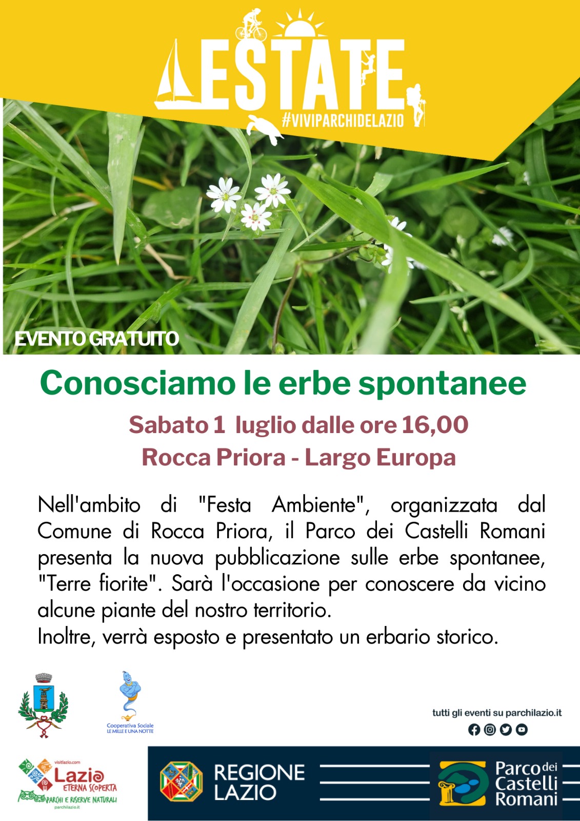 Conosciamo Le Erbe Spontanee