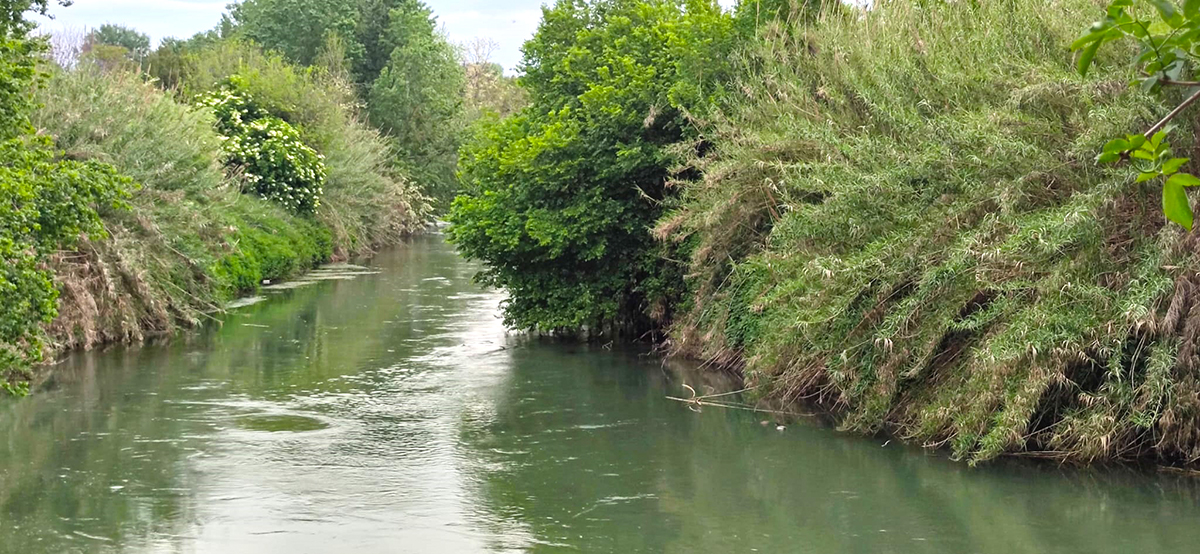 Ente Regionale RomaNatura Riserva Naturale Valle Dell Aniene