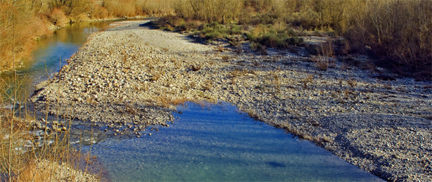 Paglia di fiume