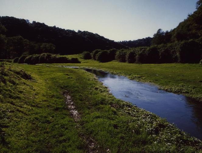Festa del parco di Veio