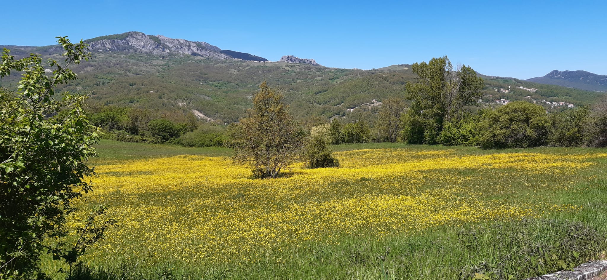 Settimana europea dei parchi a Tivoli Torre Flavia e Soratte