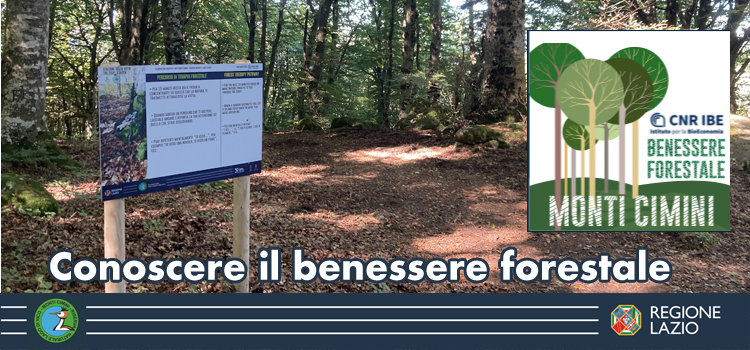 Le foreste dei Monti Cimini luogo d'elezione per il "benessere forestale": i risultati della sperimentazione CNR