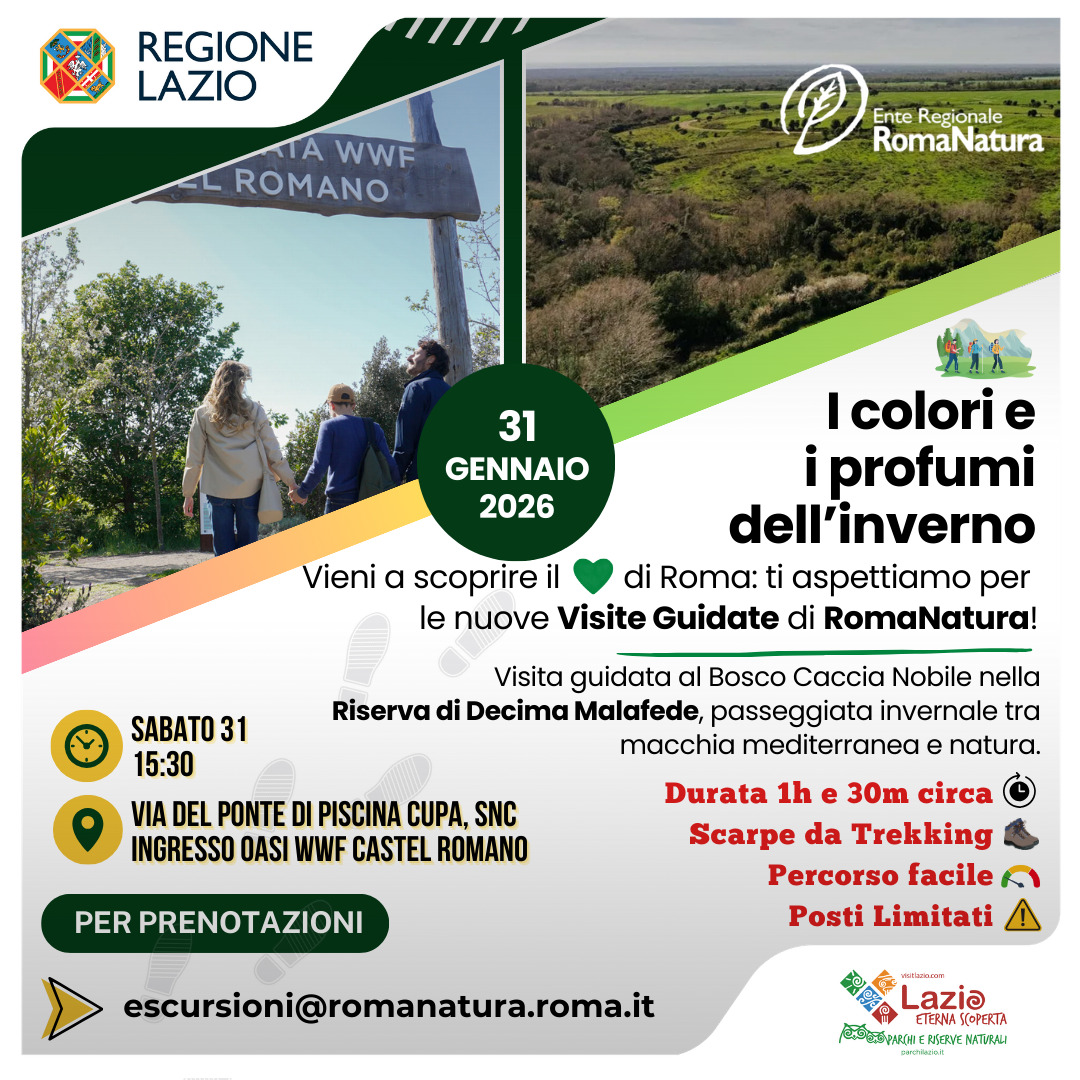 Passeggiata al Bosco Caccia Nobile – I colori e i profumi dell'inverno